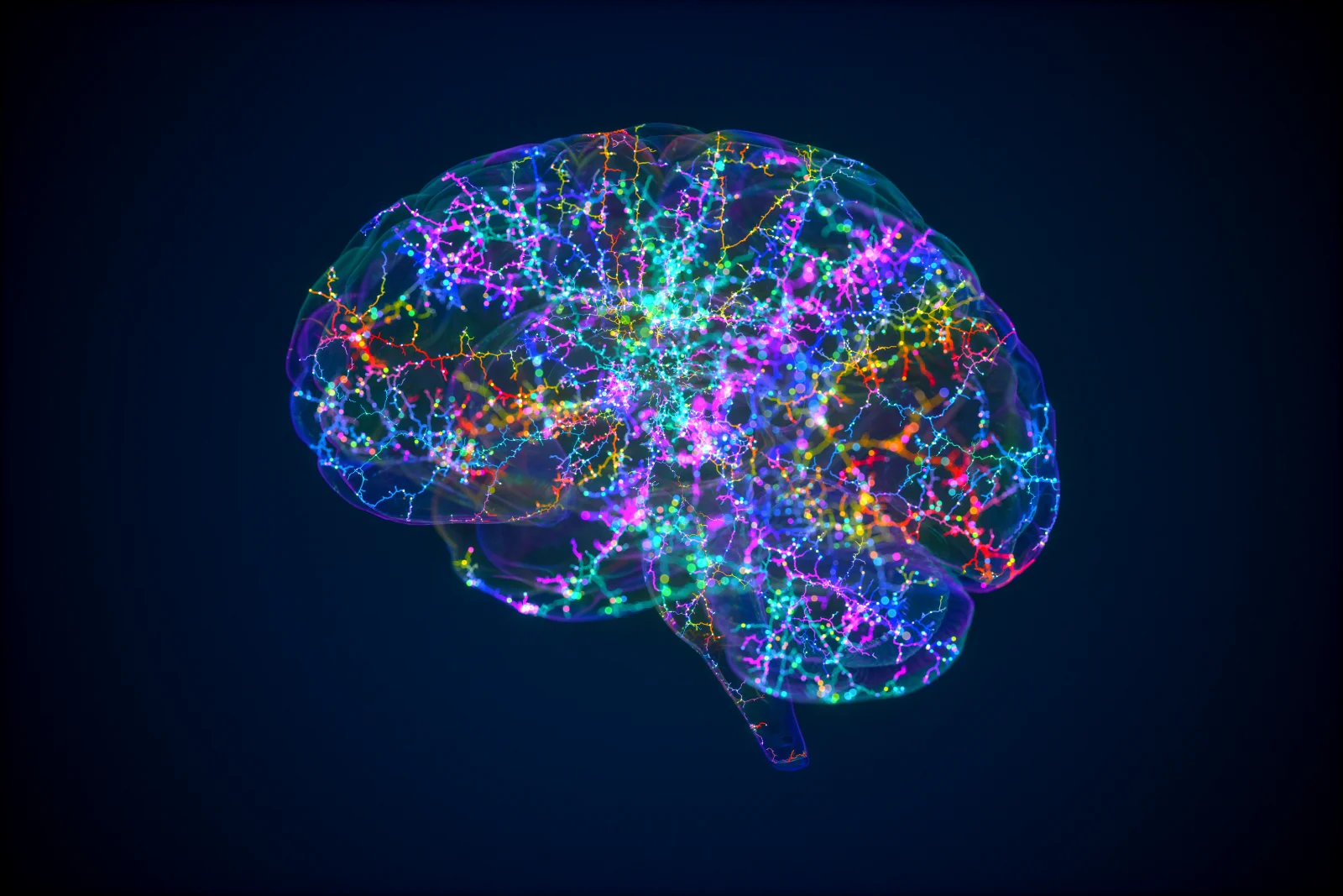 El turno de noche del cerebro