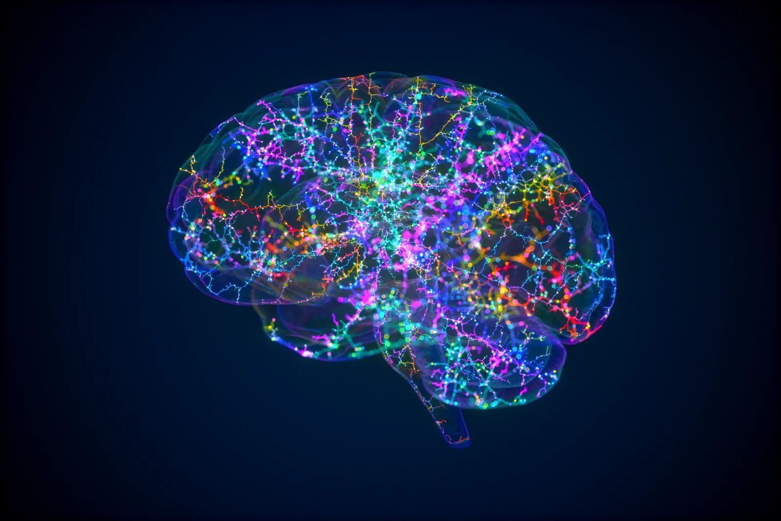 El turno de noche del cerebro