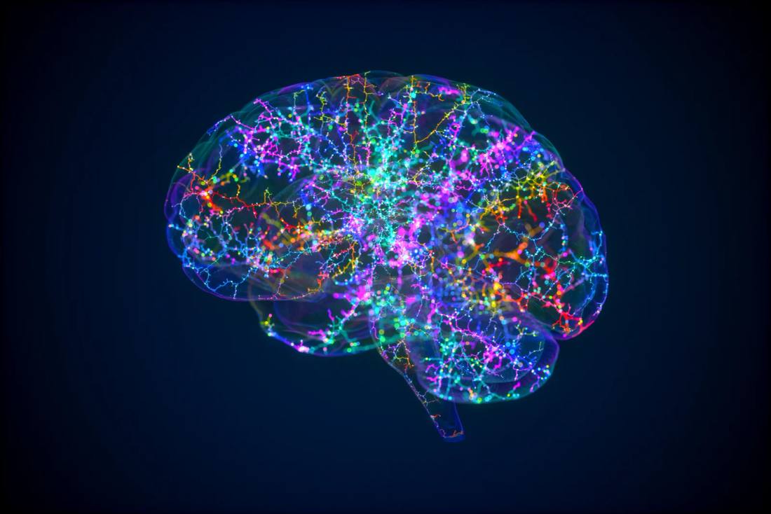 El turno de noche del cerebro