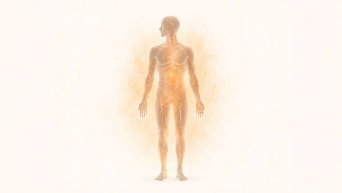 Inflammaging: la inflamación crónica que acompaña al envejecimiento