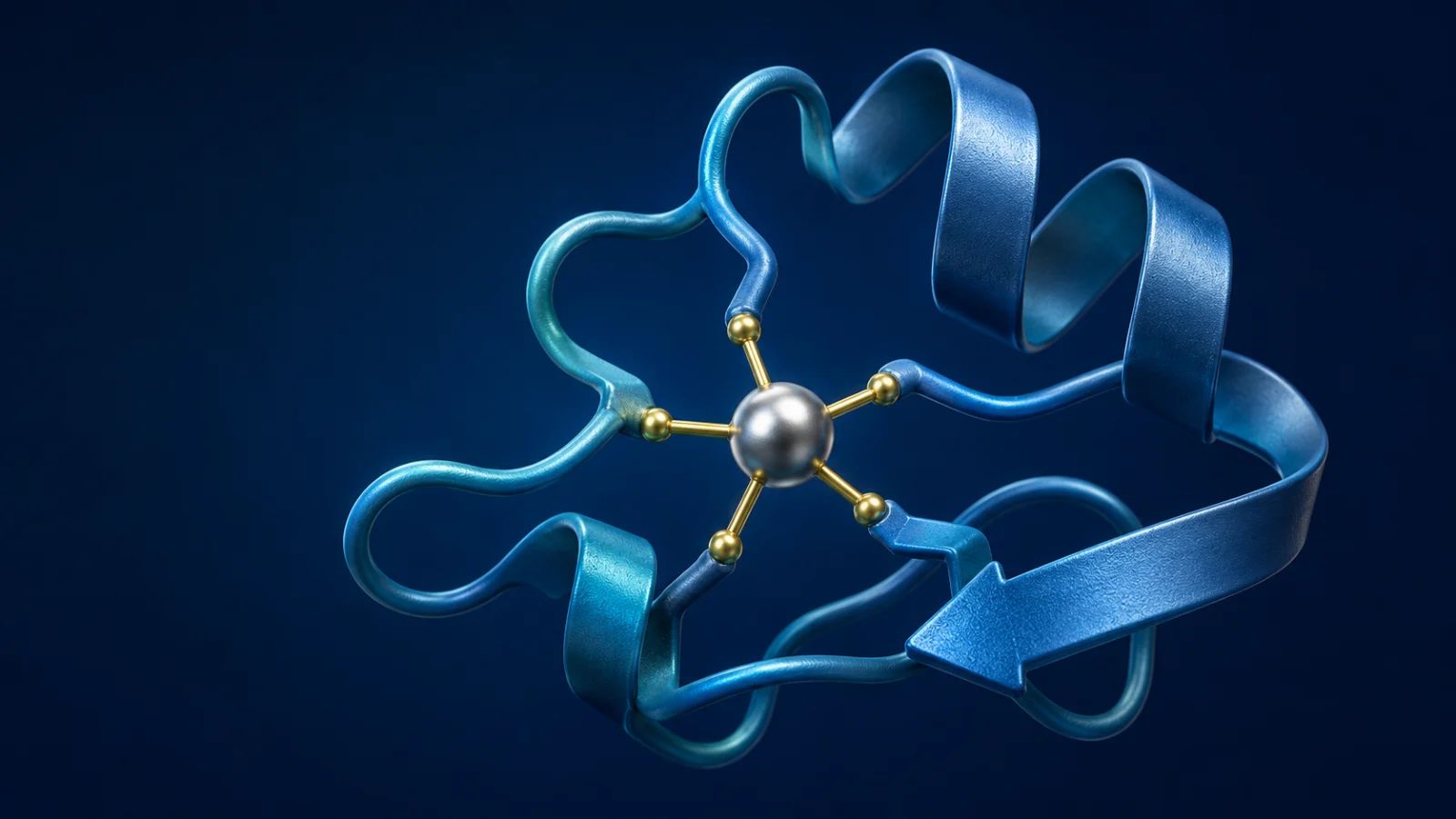 Zinc y sistema inmune: por qué el cuerpo lo pierde con la edad